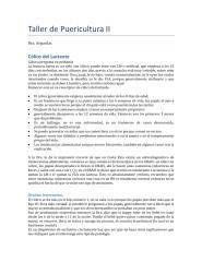 57.-Taller-de-Puericultura-II.pdf
